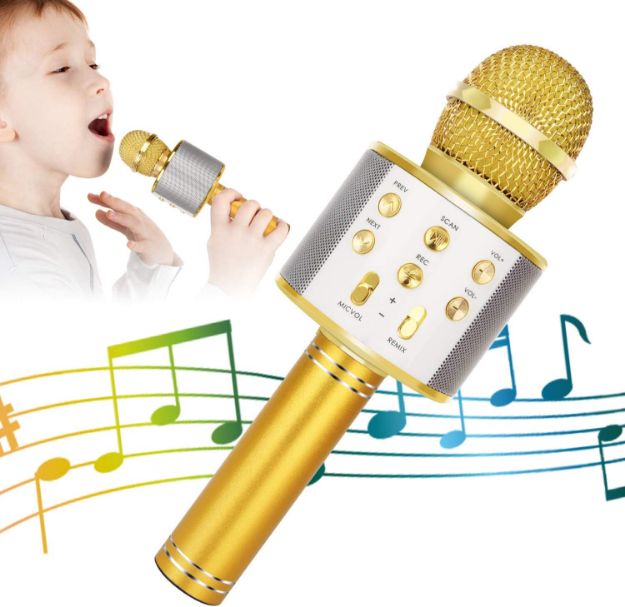 KIDWILL Wireless Bluetooth Karaoke Microphone for Kids